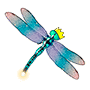 Dragonfly
