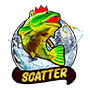 Scatter